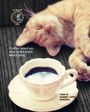 Comfort or Fresh? Choosing the Right Coffee for Mid-January